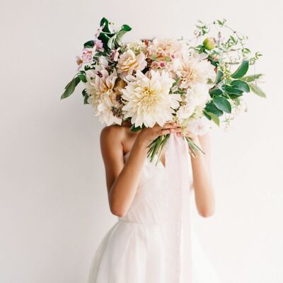 Link to: /programs/menopause-perimenopause