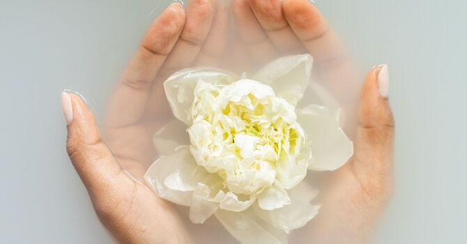 Concierge In-Home Acupuncture